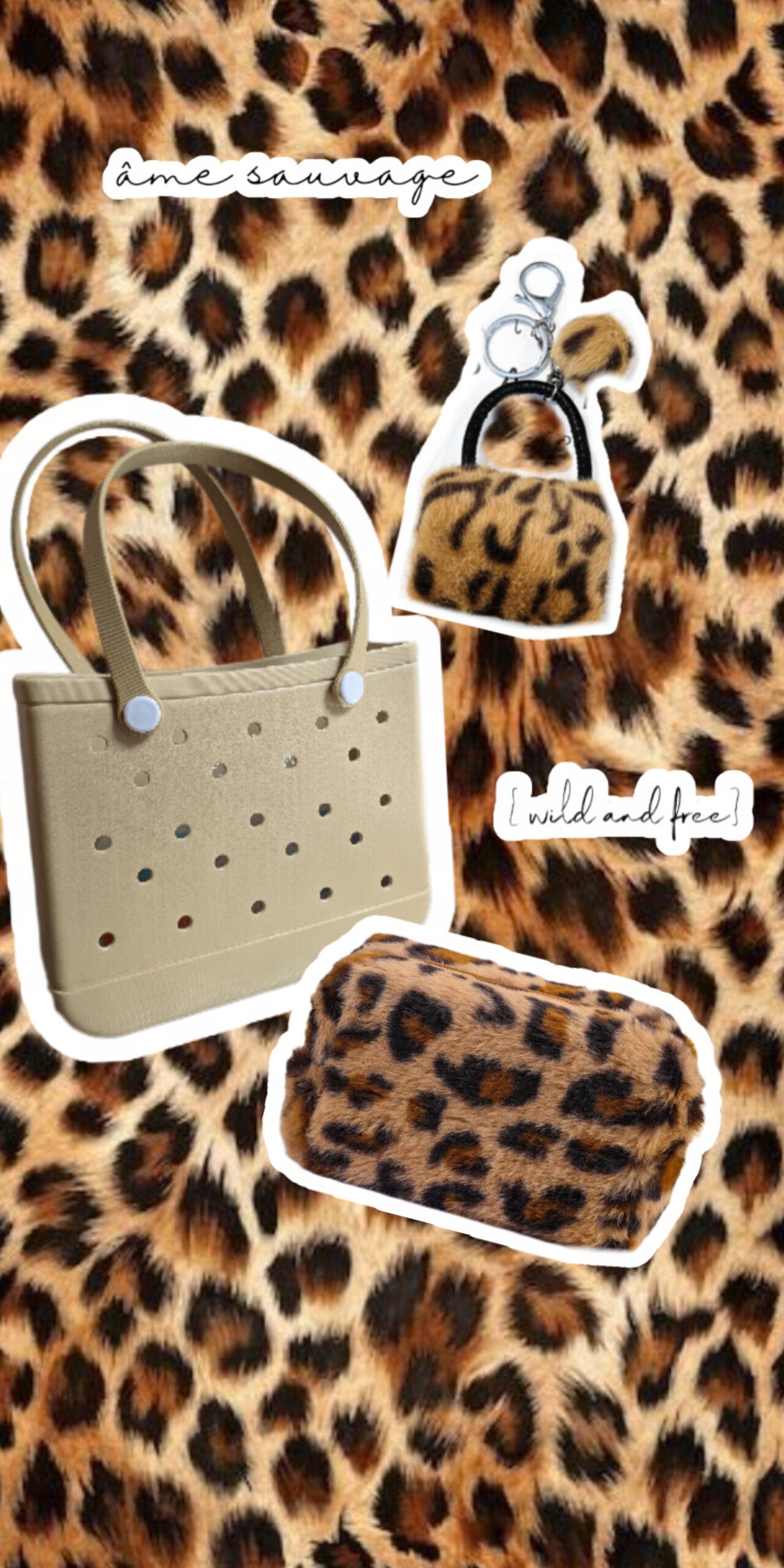 Collection automne